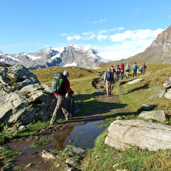 Les plus beaux treks des Alpes 
