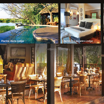 Conférence safari-afrique-australe