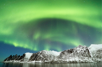 Faune sauvage et grands espaces, de la Scandinavie à l’Alaska