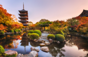 Voyage au Japon : un itinéraire au rythme des traditions et des saisons