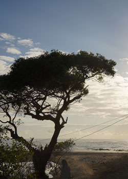 Les Comores
