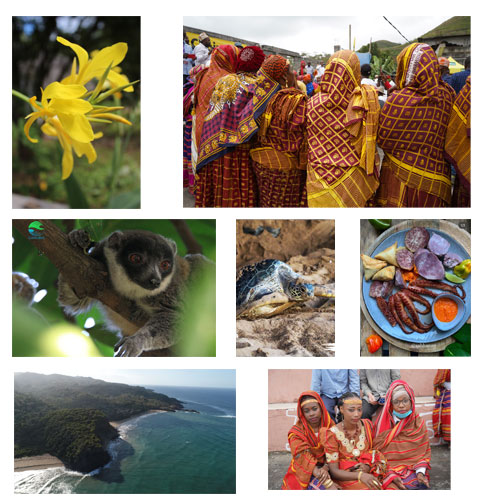 les comores invite privilege
